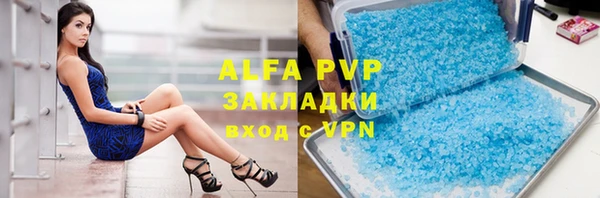 индика Алексин