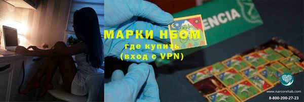 индика Алексин