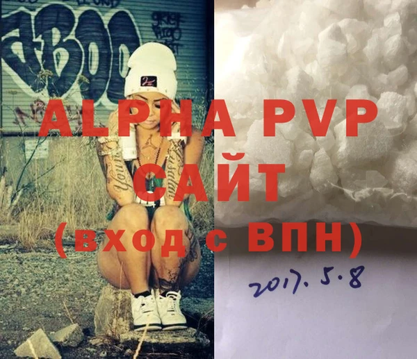 индика Алексин