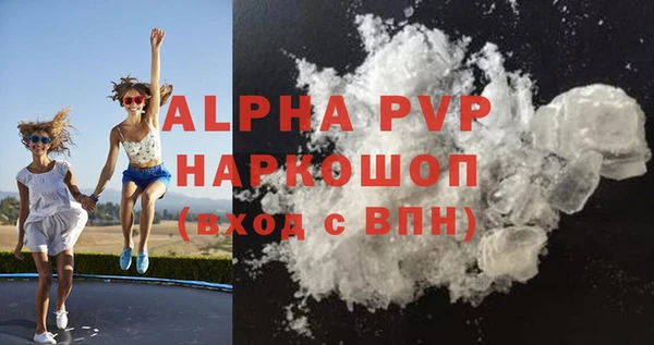 индика Алексин