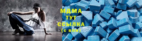 индика Алексин