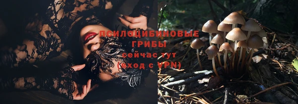 стаф Абдулино